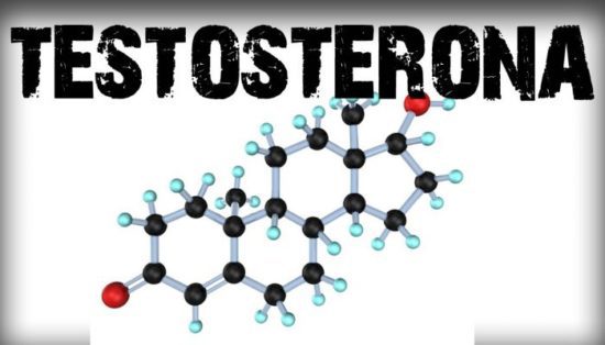 Tribulus Terrestris aumenta a testosterona