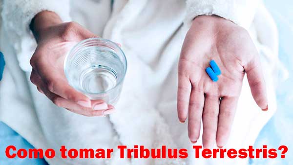 Tribulus Terrestris 500 mg: como tomar?